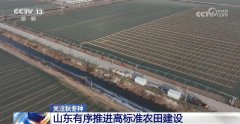 严冬模式”已全国大部门农区光温前提利于越冬