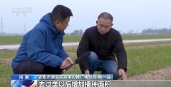 2024年终察看丨本年我国粮食产次冲破14万亿斤