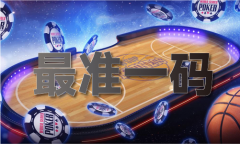 内部正版免费材料一码